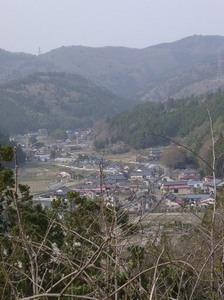 05040036.JPG