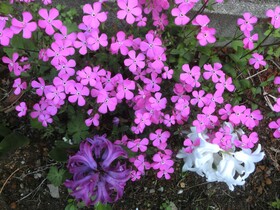 CIMG0144.JPG