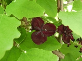 CIMG5147 - Rs[.JPG