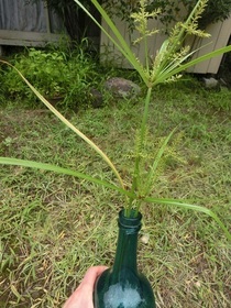 CIMG6304.JPG