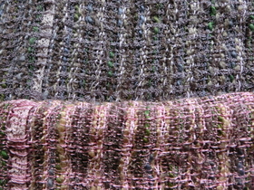 CIMG8650.JPG