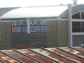 CIMG9695.JPG