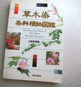 CIMG9794.JPG